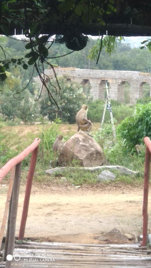 Om Shanti Om Homestay Hampi Ngoại thất bức ảnh